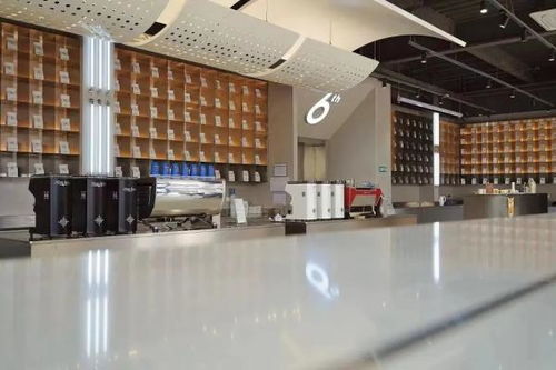 沪上咖啡共享工厂 定制化新浪潮，选豆烘焙设计一体化