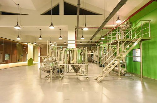 游弋在有形与无形之间 丽江田园橄榄油厂室内设计